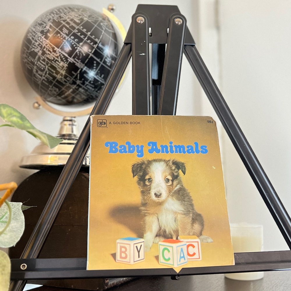 💛📙Baby Animals Golden Book